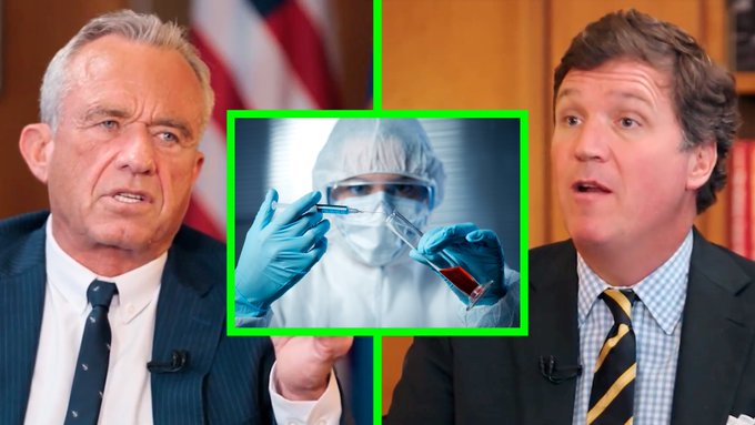 Image in tweet by The Vigilant Fox 🦊