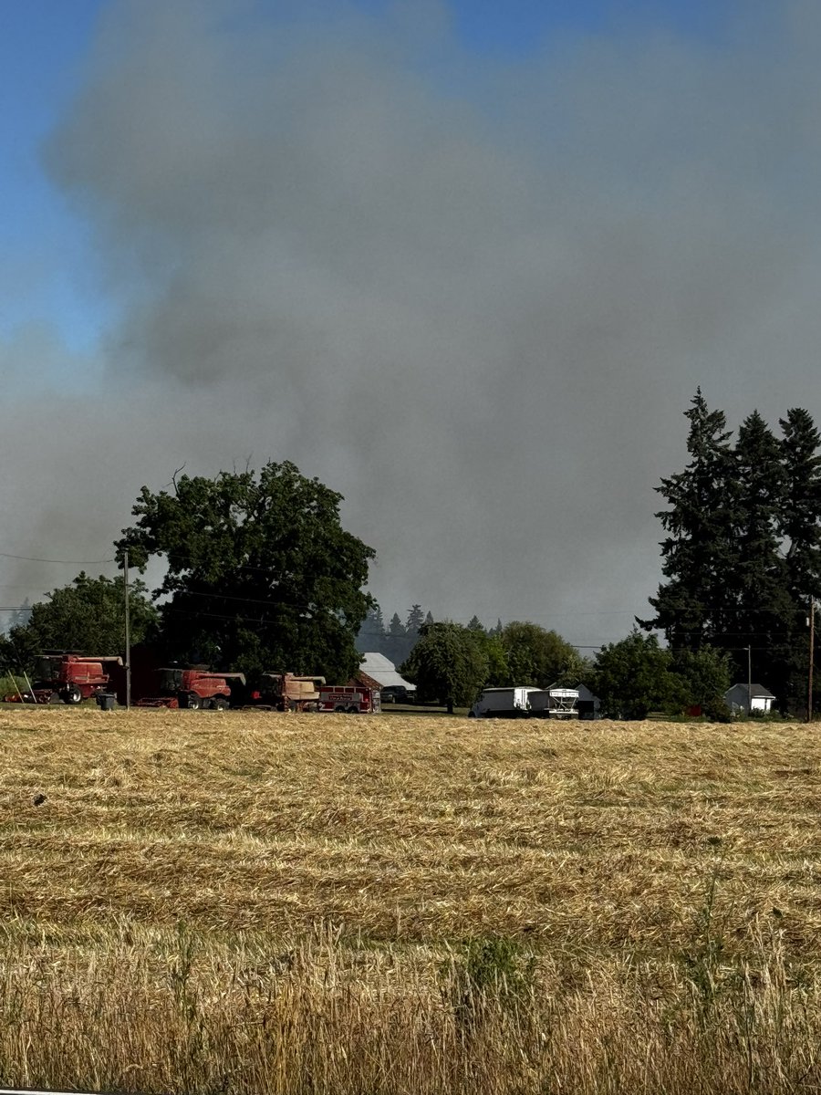 TruthSeeker 2.0 🐈🐈‍⬛🙀😽🐈🐈‍⬛ tweet media