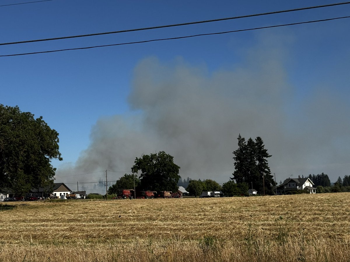 TruthSeeker 2.0 🐈🐈‍⬛🙀😽🐈🐈‍⬛ tweet media