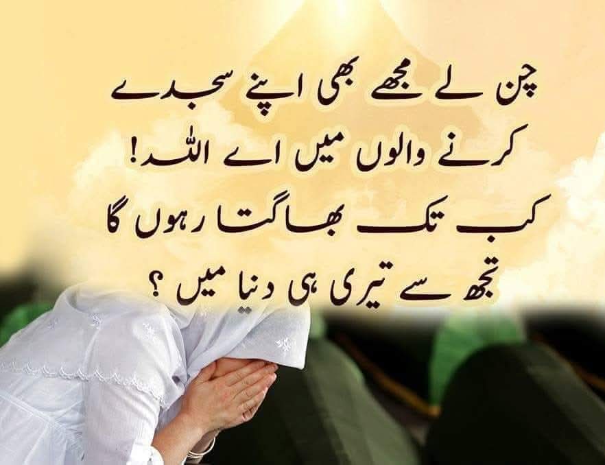 🌄 Alsalam 🌅 o 🌞 wàlekum 
🌄 Good 🌅 morning 🌄🌅🌞