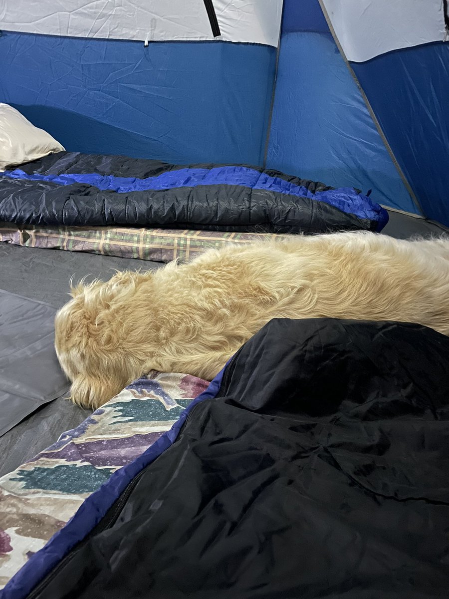 What a day! We went on the gigantic boat, I checked out the pee spot… lame. I slept in the bunk, then we walked around the campground and now I’m out for the count. Life of Chum.