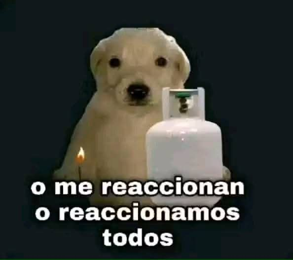 ⚡Trish_Alice⚡ tweet media