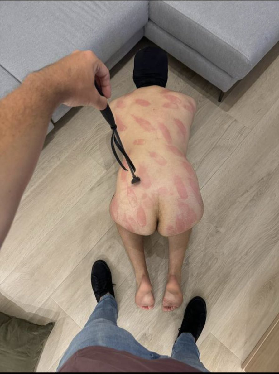 Master Medo | The Arab Collector tweet media