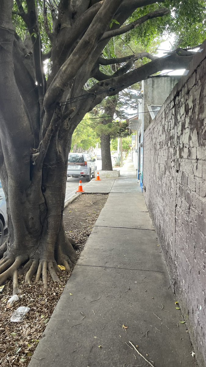 BatmanGdl's tweet image. Este taller que se pasa la ley de reglamentación de @ZapopanGob y de @GobiernoJalisco siempre tiene vehículos abandonados, carros en banqueta, siempre sucio el perímetro del taller. Ahora tienen lonas agarradas de los 🌳@PoderAG_Jal
Sierra de Mazamitla y Valle de Atemajac