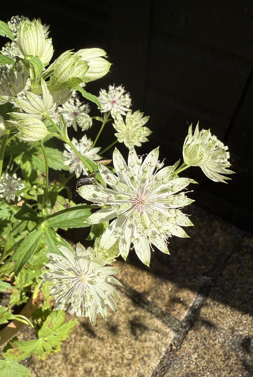 👍🏼👀👏🏼 tweet media