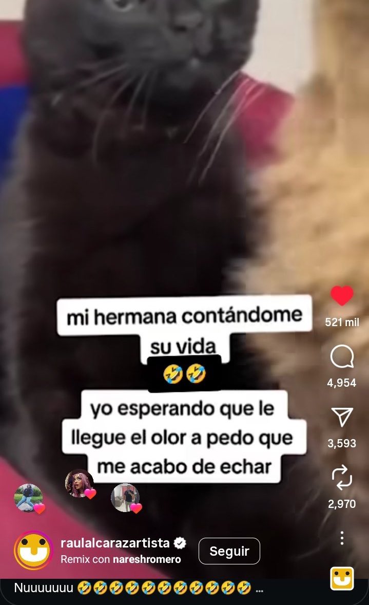 becerrismoOOC's tweet photo. ?? https://t.co/vGcJXVCocv