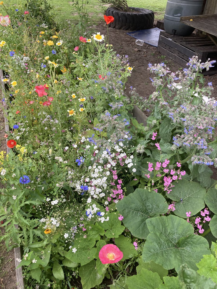 Redgate Gardener tweet media