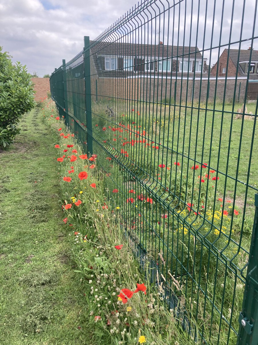 Redgate Gardener tweet media