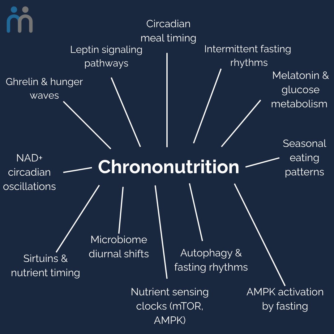 OOMOHealth's tweet image. Complex quantum health and circadian biology, organized in seconds.🌱
oomo’s AI-powered, community-based tools help you connect & absorb mechanisms to accelerate your learning.
Get instant access to one of the many intersections inside oomo 👇
oomo.health/exp/circadian-…