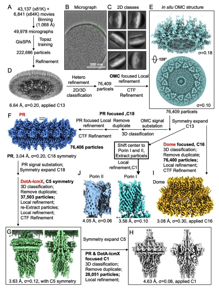 Amazing work from Jun Liu lab! 🤩