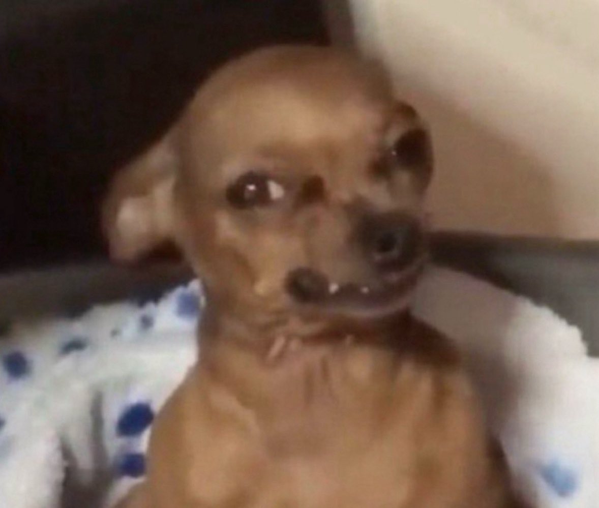 kia (@m3hkya) on Twitter photo 