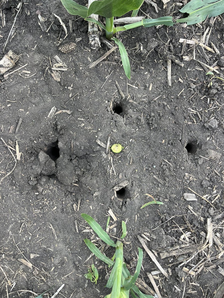 MasonClaude5's tweet image. You can’t manage what you don’t measure
In season testing is necessary for validation and fine tuning that can render big $$