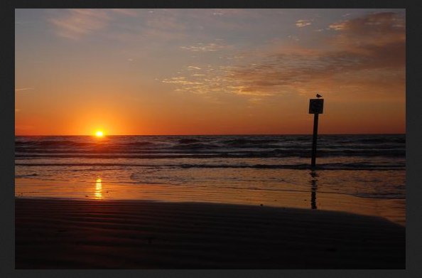 SaltyDGalveston's tweet image. The Galveston sunrise never gets old.