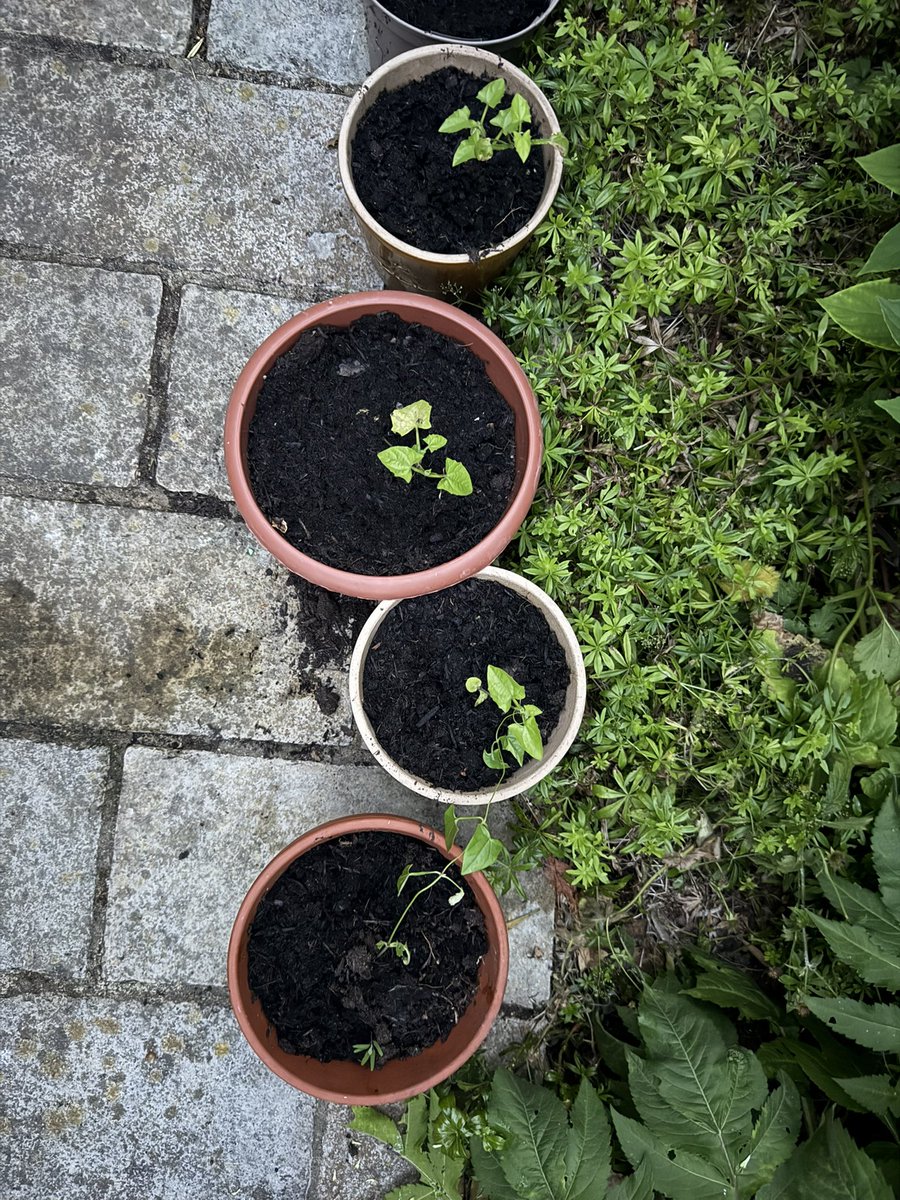 👍🏼👀👏🏼 tweet media