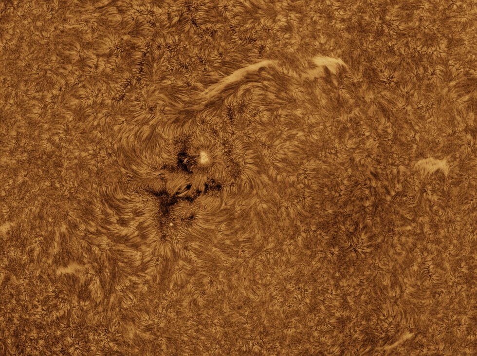 MBerto7's tweet image. Sesión solar de hoy (30-06-2025)

Long Perng 80 f6.25
Daystar Quark chromosphere 
Player One Apollo-M Mini
Player One ERF S-Series
Svbony UV IR cut