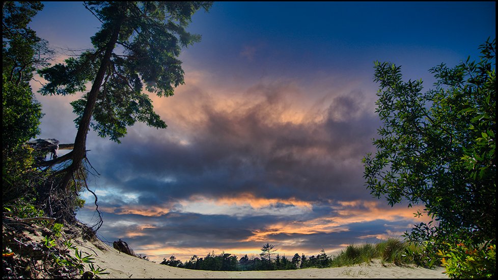 tommynikon's tweet photo. "NorCal Dunes".
#NorCal #California #Hwy101 #nikonuser #landscapephotography #sunset #NorthernCal #landscape https://t.co/ZVkZYYG8es