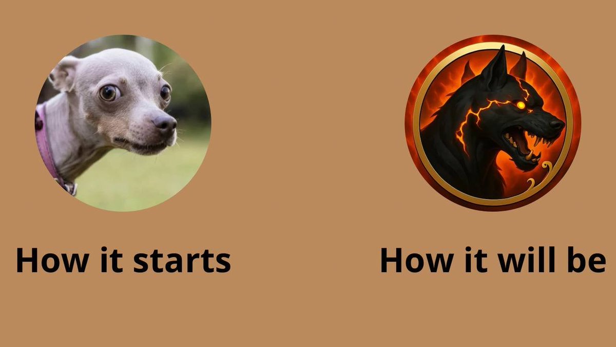 MORI DOG tweet media