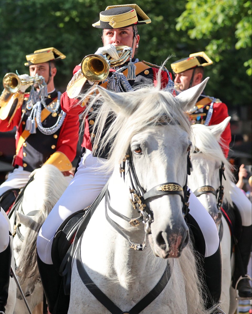 CHIO_Aachen's tweet photo. ¡Hola España at the Aachen marketplace! 🇪🇸 The atmosphere at the traditional reception in front of the historic town hall was characterised by joie de vivre – with magnificent horses from Córdoba 🐎, the Castelleres del Foix de Cubelles 🤸♂️ and the Guardia Civil 👮♂️ https://t.co/0XeDZOE61o