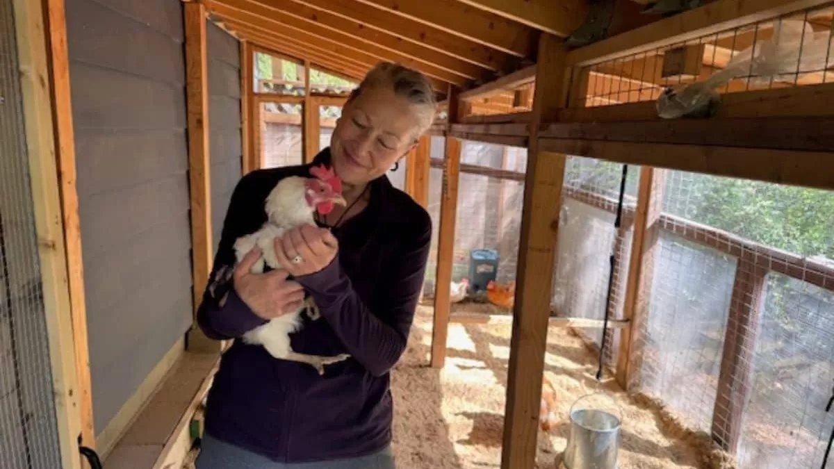 This is Kathryn Sarkisian. Local officials approved her permit for backyard chickens and then changed their minds. Now they're fining her $80,000.