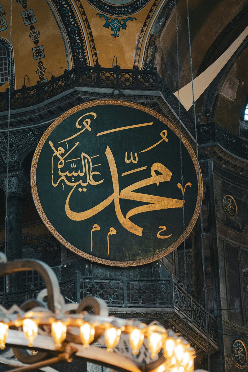 “Efendimsin, cihanda itibarım varsa, sendendir.”
“Mü'min olan tenlere cânsın
yâ Resûlullah.”

Sonsuz sâlât ve selâm sana Efendim.
