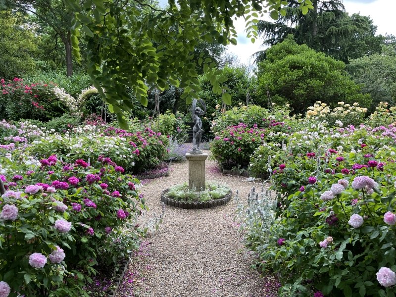 HertfordshirNGS's tweet photo. 🌹Reveley Lodge in #BusheyHeath is a large garden with themed borders, huge conservatory, cut flower garden with beehives, and rose garden. Opens Sun 27th with live music and stalls to make this a great day out for all the family! More👉https://t.co/JMtM9ap5DC https://t.co/G8Dq25QZyh