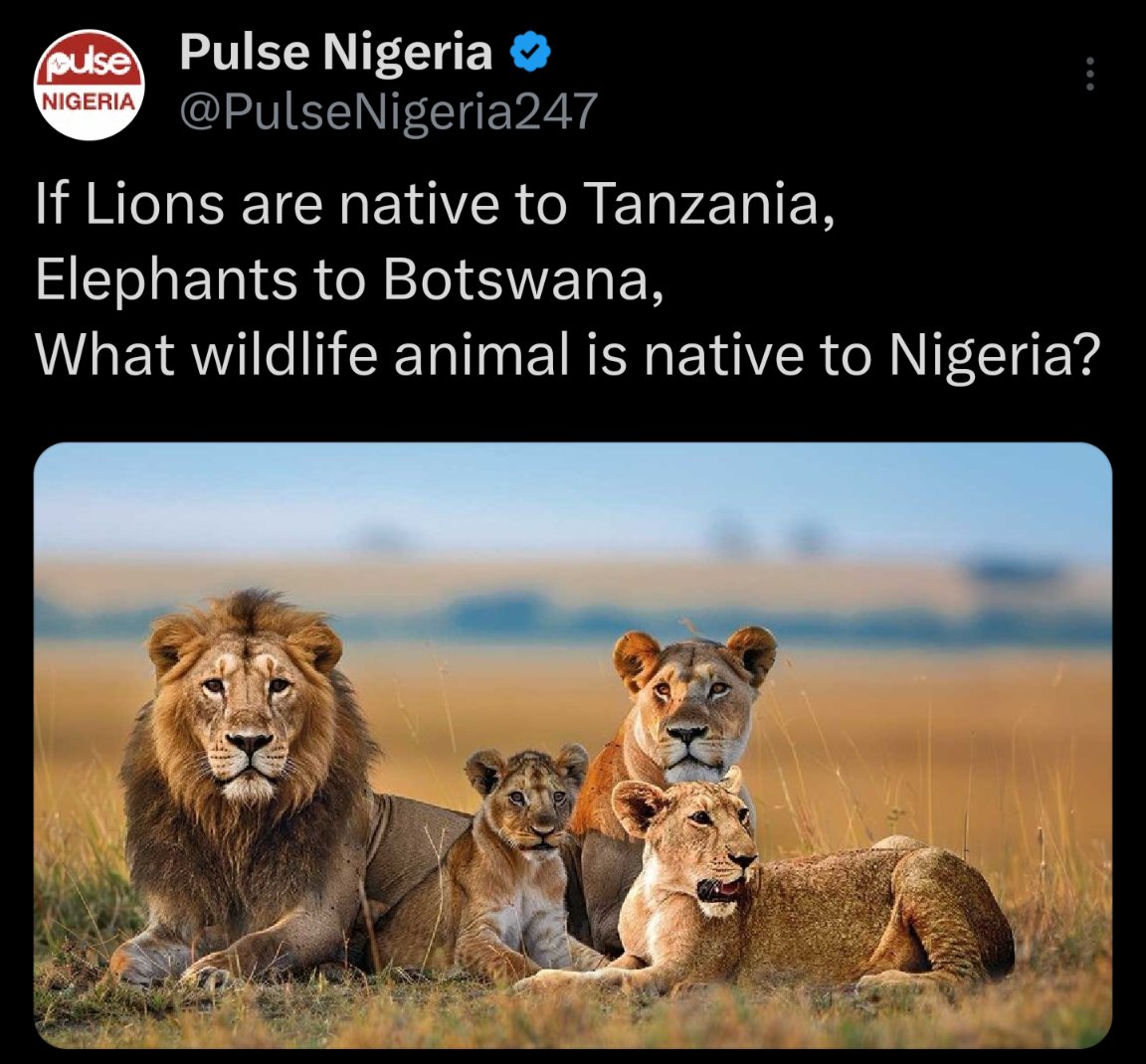 Instablog9ja tweet media