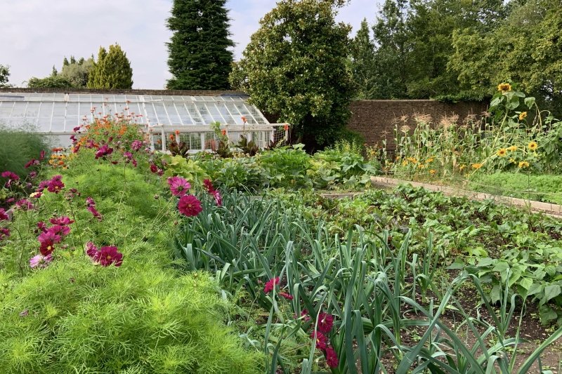 HertfordshirNGS's tweet photo. Reveley Lodge in #BusheyHeath is a large garden with themed borders, huge conservatory, cut flower garden with beehives, and rose garden. Opens Sun 27th with live music and stalls to make this a great day out for all the family! More👉https://t.co/JMtM9apDta https://t.co/m0S5ky4l13