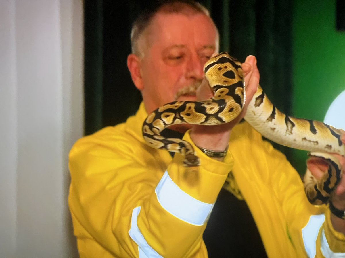 112animal's tweet image. Het is een mannetje!
Rob to the rescue bij #HazesEnHoogkamer #koningspython #vrijwilligers #Dierenambulance #Zaanstreek @SBS6
Mocht de eigenaar zich niet melden, dan komt deze pracht ter adoptie #AdoptDontShop