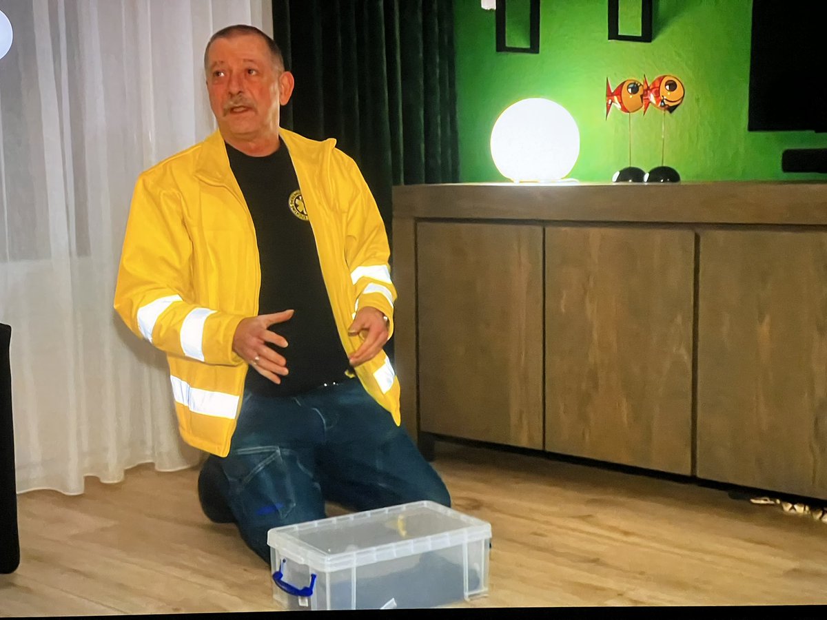 112animal's tweet image. Het is een mannetje!
Rob to the rescue bij #HazesEnHoogkamer #koningspython #vrijwilligers #Dierenambulance #Zaanstreek @SBS6
Mocht de eigenaar zich niet melden, dan komt deze pracht ter adoptie #AdoptDontShop