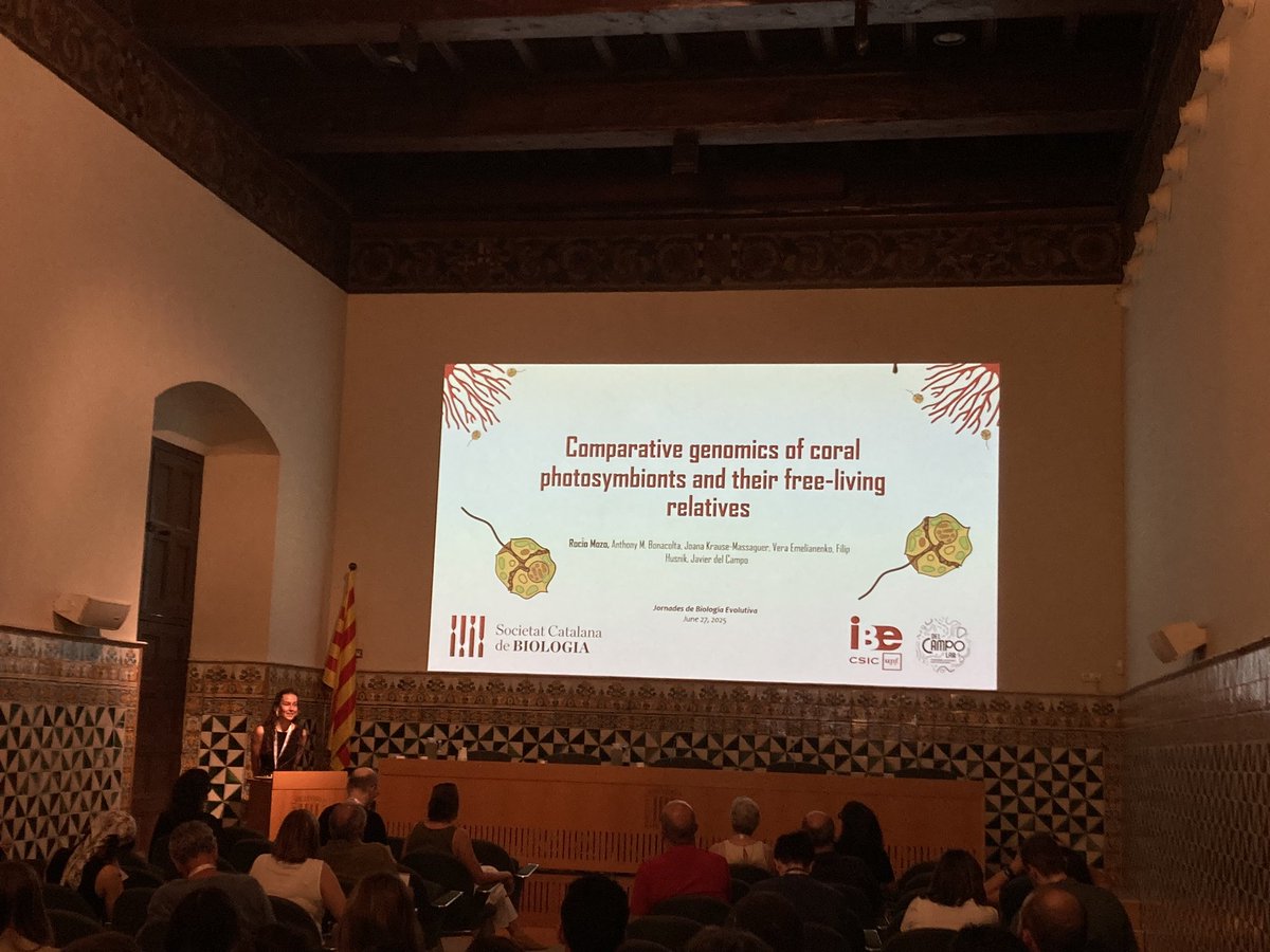 delCampoLab's tweet image. Last week we attended the Jornades de Biologia Evolutiva, organized by the @SCB_iec 🧫
@Matteo__Agazzi and @RocioMozoM did a great job presenting their advances on their coral HMW and HiC data generation and Suessiales de novo transcriptomics projects🧬
Keep it up folks!