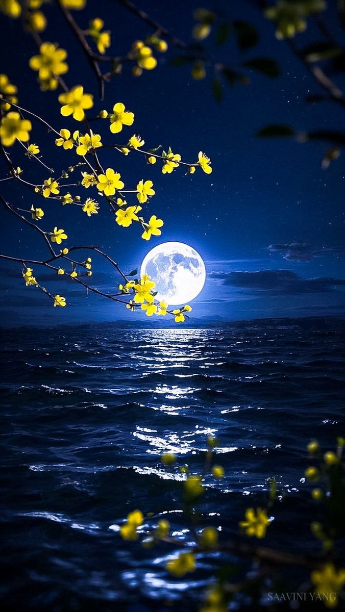 ✨✨✨
'Matematikte de olur
bazen.
Değer verirsin
yanlış çıkar...'
                ✨✨✨