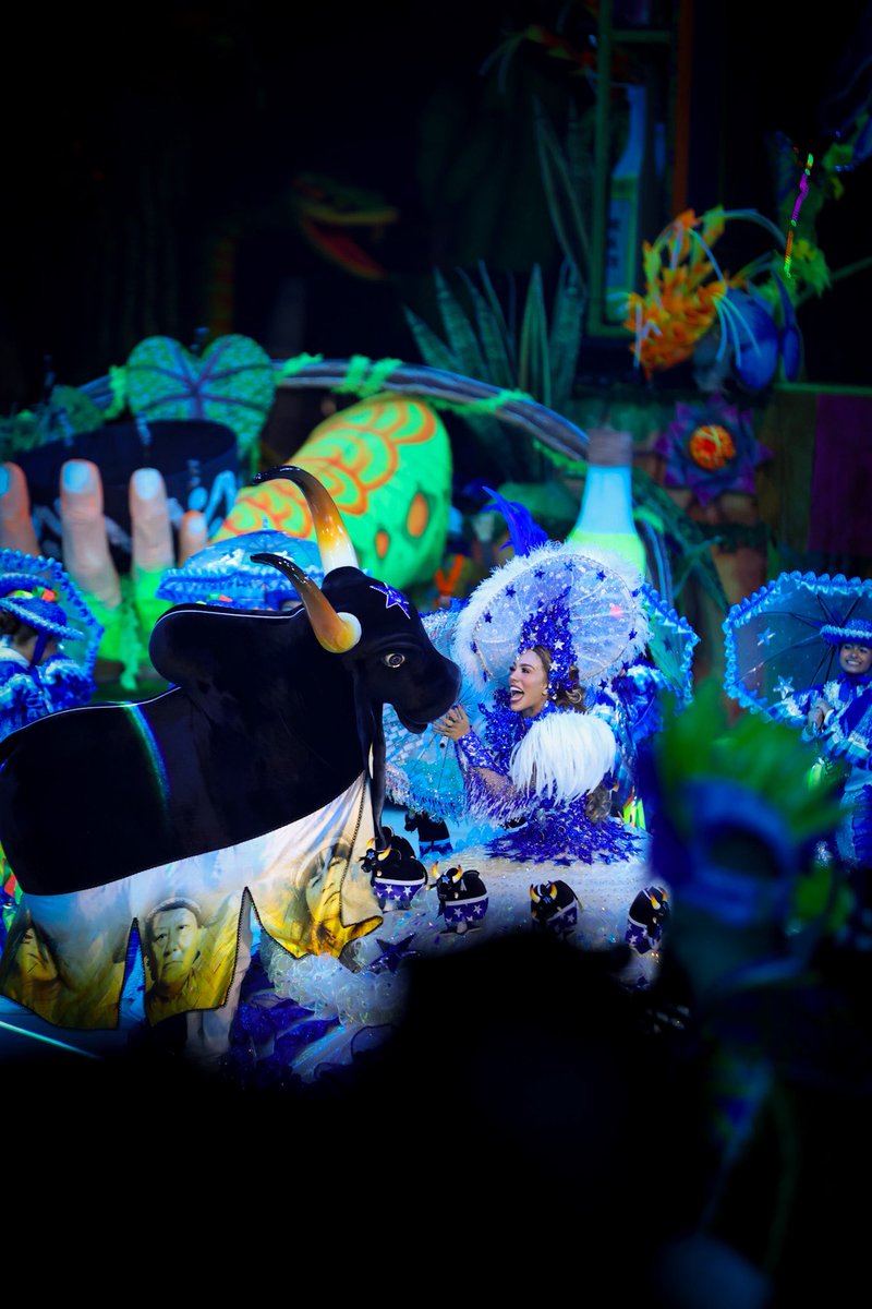 Meu boi tu foi grandioso na arena! Que o respeito prevaleça no Festival de Parintins!