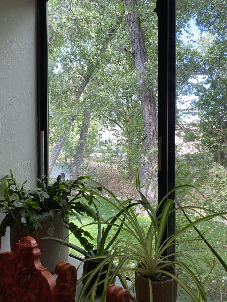 shidneyyy's tweet photo. green 🌿🐛 https://t.co/AkH1e1nAPM