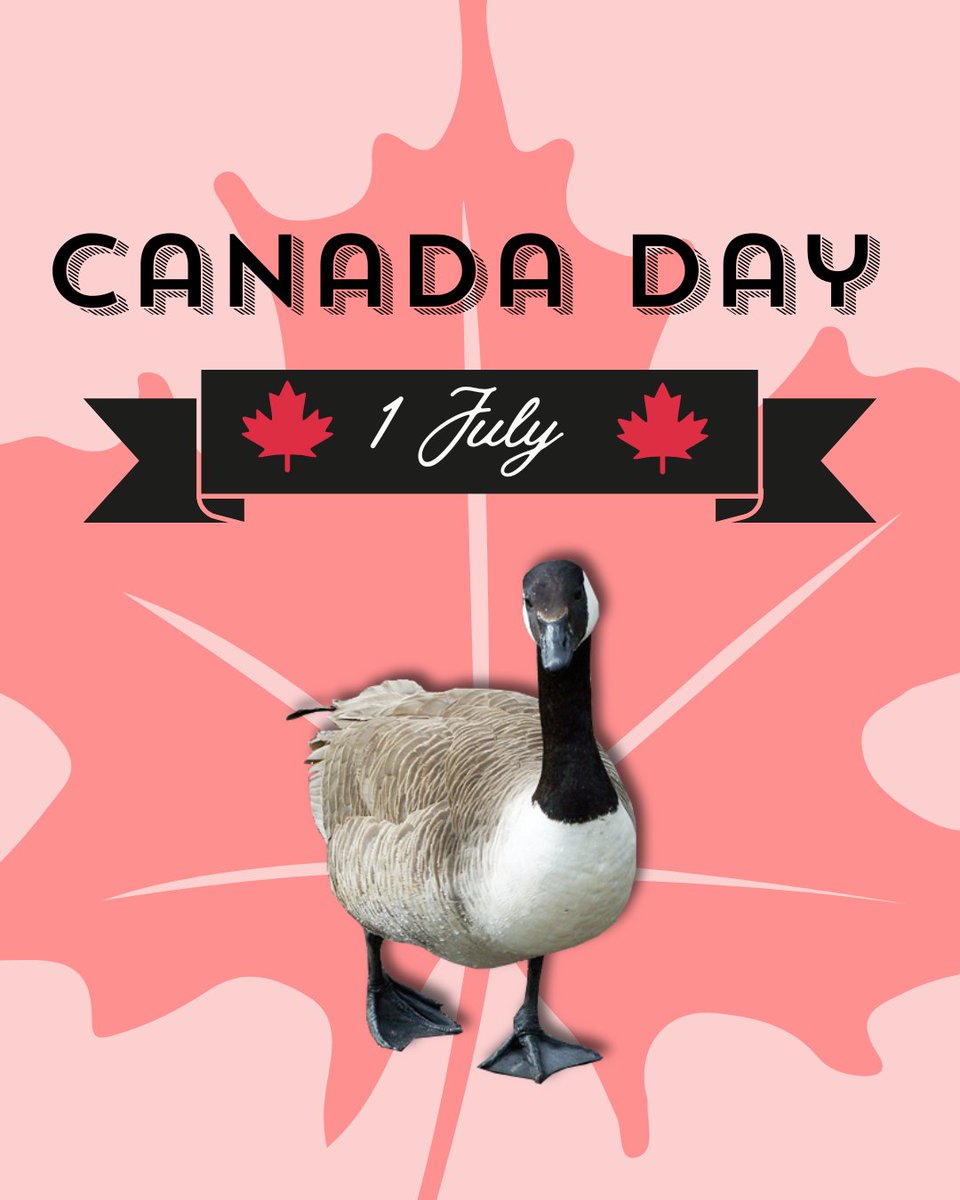 BrightonCol's tweet image. 🎉 Canada Day is almost here! 🍁 Get ready to celebrate 🇨🇦 tomorrow, July 1. As a reminder, campus will be closed and there will be no class in honour of the holiday.