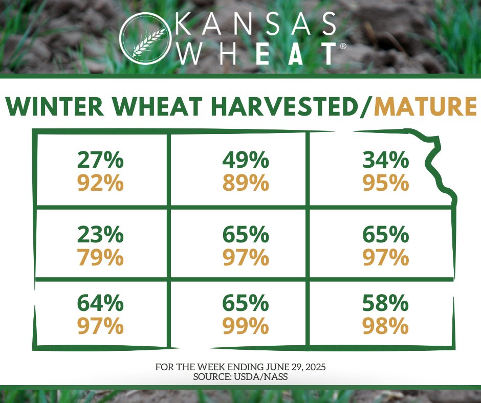 Winter wheat mature was 94%, near 97% last year, but ahead of 88% for the five-year average according to <a href="/usda_nass/">National Agricultural Statistics Service</a>. Harvested was 53%, well behind 76% last year, but near 56% average. 🌾