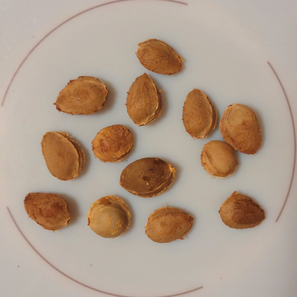 Ivrix's tweet image. סמל סטטוס