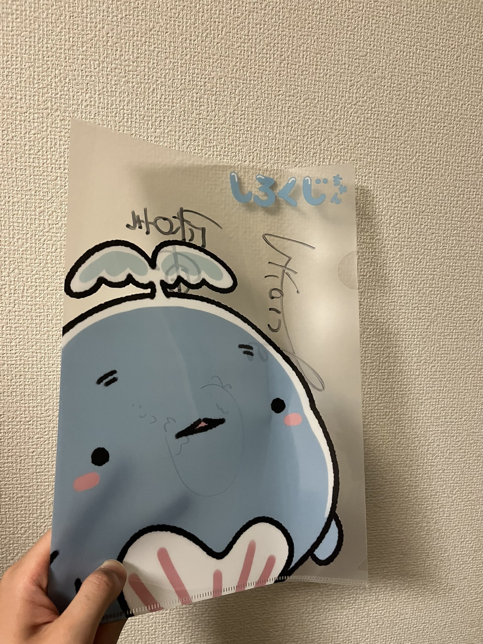 ST野菊さち🙋‍♀️ on X: 
