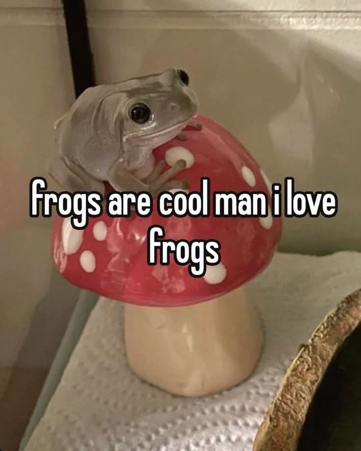 nodespaghett's tweet image. Excellent #toadsmanship on display here