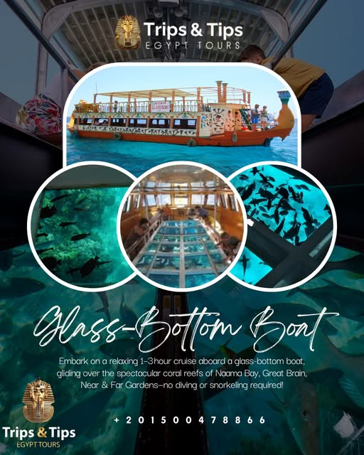 TRIPS_TIPS11's tweet photo. π Glass-Bottom Boat Tour in Sharm El Sheikh! π€π
See vibrant coral reefs, fish & turtles without getting wet!
β
Hotel transfer, 1β3 hr cruise, soft drinks & guide included.
Perfect for families & non-swimmers.
π Call/WhatsApp: 01500478866
#GlassBottomBoat #RedSeaAdventure https://t.co/p2lTM2Eamk