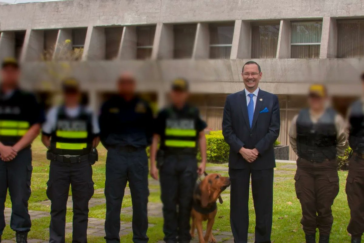 LaRRIICR's tweet photo. El K9 lo sabía 🐶 https://t.co/QXIwL9v7Dg