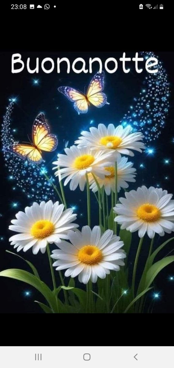 ❣💞❣A tear does not demonstrate the fragility of a person, but the greatness and humanity of his heart ❤ I wish you my most affectionate goodnight. ❣💞❣