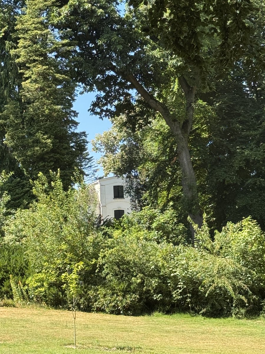 annemieke_vos1's tweet photo. Summertime ☀️
And the livin' is easy...
(just like it was and always has been)
#officeday #roomwithaview #gershwin #porgyandbess 1934
#heyward https://t.co/z0iwuNDBjo