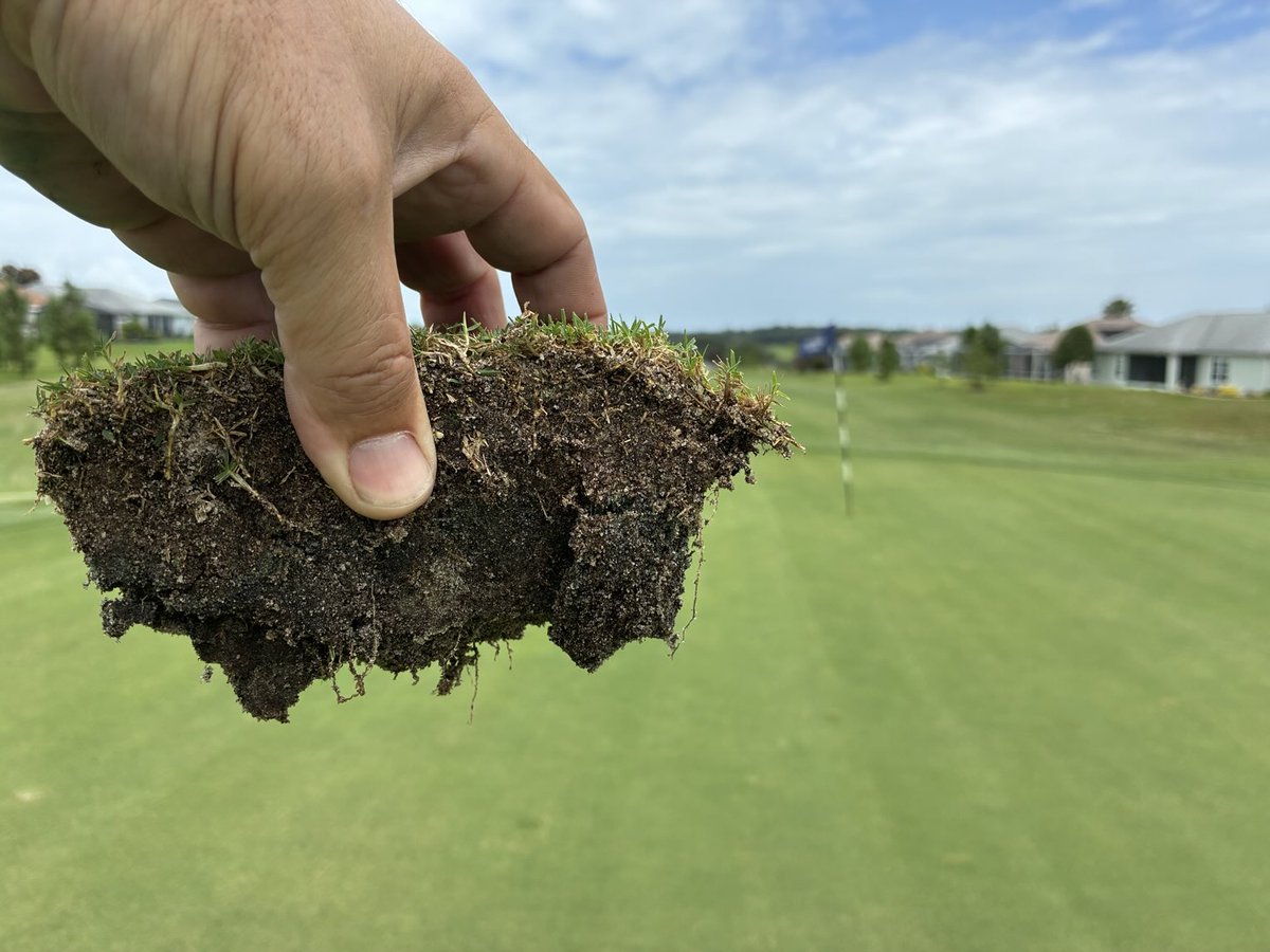 got out on the course with a couple of superintendents today running with ⁦<a href="/FoliarPak/">Foliar-Pak</a>⁩ and ⁦<a href="/TurfsolutionsFL/">Nathan Florian</a>⁩ programs - Looking good!! 😎⛳️‼️