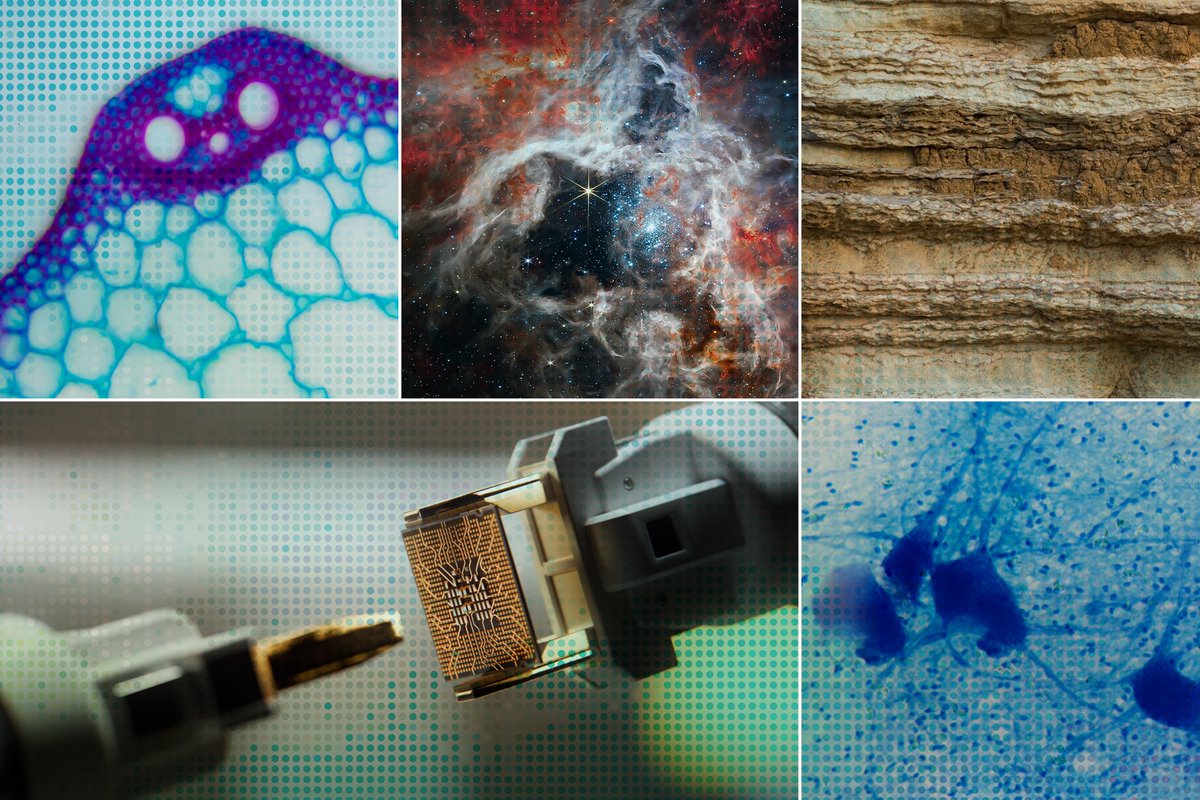 andresvilarino's tweet image. Accelerating #scientificDiscovery with #AI 

#AIagents #ArtificialIntelligence #Tech #Technology #researchers @FutureHouse

buff.ly/BD2s9Ci