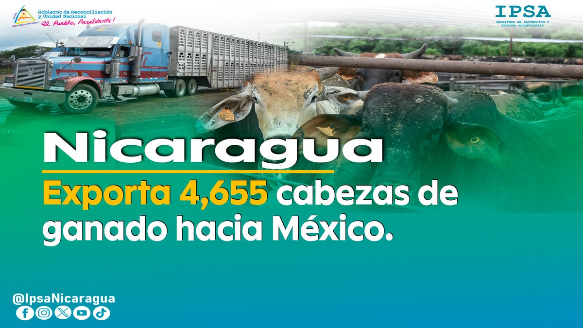 Nicaragua reactiva exportaciones de ganado en pie a México | Más de 4,60... youtu.be/nYaECdJVBHA?si… a través de <a href="/YouTube/">YouTube</a>