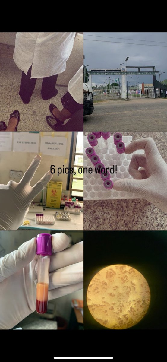 The bedrock of modern medicine ❤️