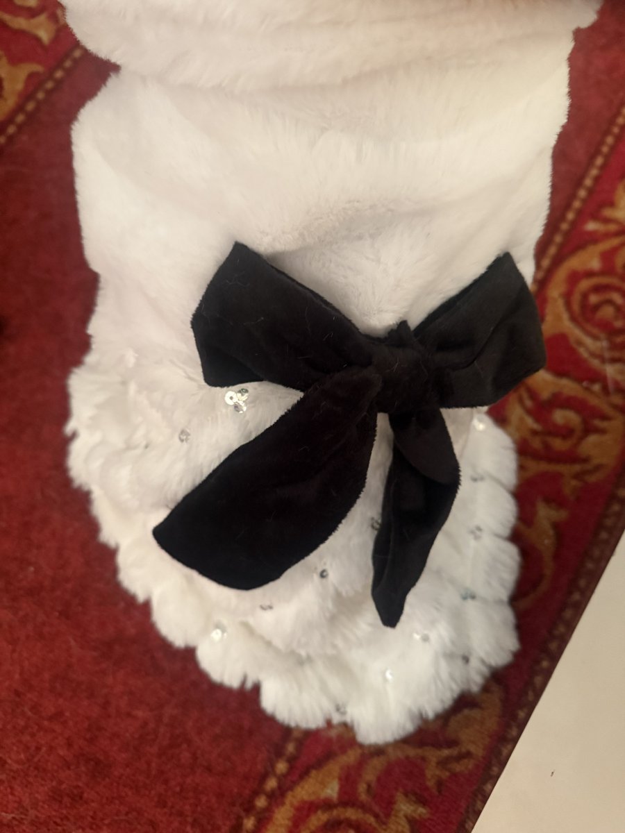 It’s #chewneltuesday and it’s also Mum’s Birthday (July 1) so we are going to have pizza to celebrate this🐾

#tinkerbellthepomchi #pomchi #tatertotsquad #dogsoftwitter #dogsofx #chewnel