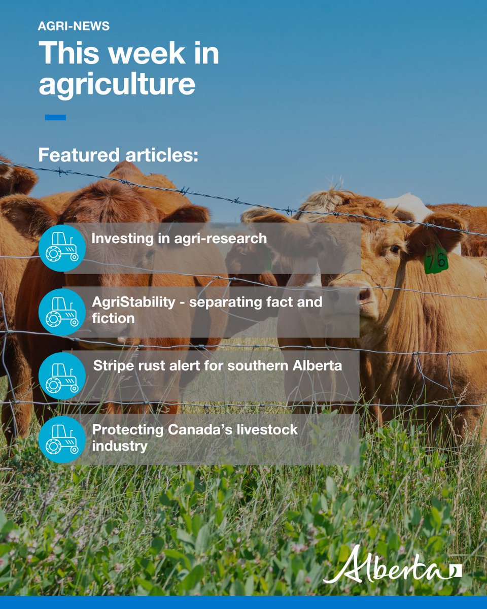Alberta Agriculture and Irrigation (@albertaag) on Twitter photo This week in Agri-News:
🔬 Investing in agri-research
🚜 AgriStability - separating fact and fiction
🌾 Stripe rust alert for southern Alberta
🐮 Protecting Canada’s livestock industry 
📈 Markets, events and more!
View this week’s Agri-News: secure.campaigner.com/CSB/Public/arc… This week in Agri-News:
🔬 Investing in agri-research
🚜 AgriStability - separating fact and fiction
🌾 Stripe rust alert for southern Alberta
🐮 Protecting Canada’s livestock industry 
📈 Markets, events and more!
View this week’s Agri-News: secure.campaigner.com/CSB/Public/arc…