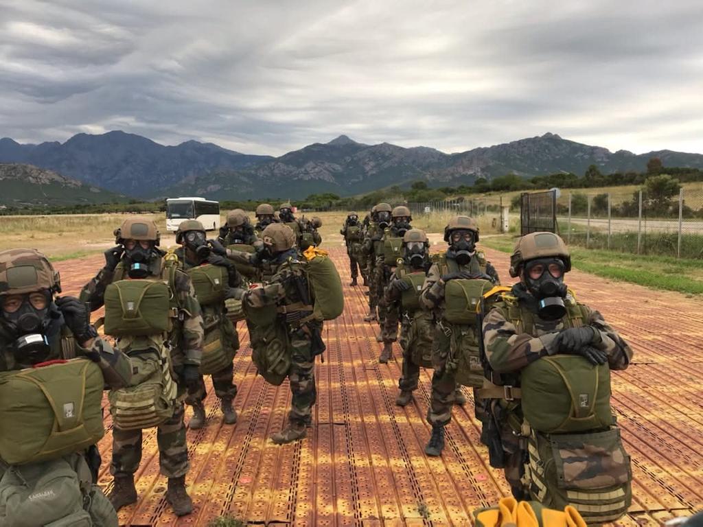 Our_obo_ros tweet media