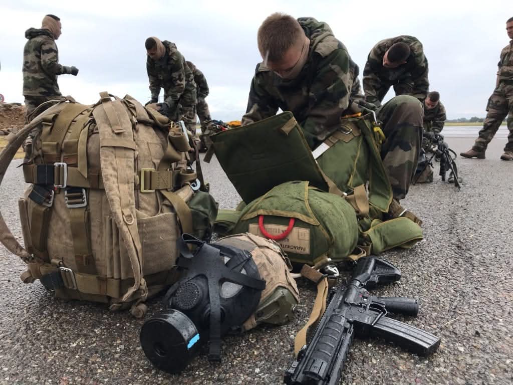 Our_obo_ros tweet media